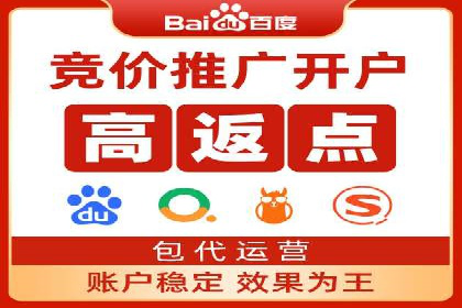 行业专家解析SEM代运营成功案例